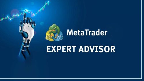 expert meta trader